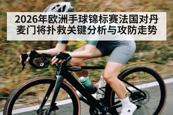 2026年欧洲手球锦标赛法国对丹麦门将扑救关键分析与攻防走势