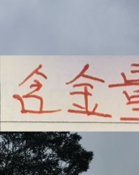 开云体育中心-归化球员也是稀缺资源！上个赛季前4 就海港 申花 北京国安有